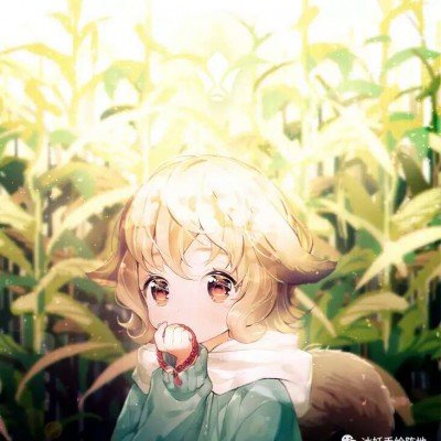 特朗普称将很快让霍尔木兹海峡重开